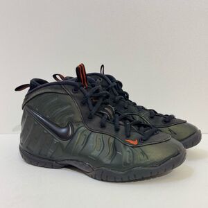 Nike Foamposites 843755-300 - 3Y